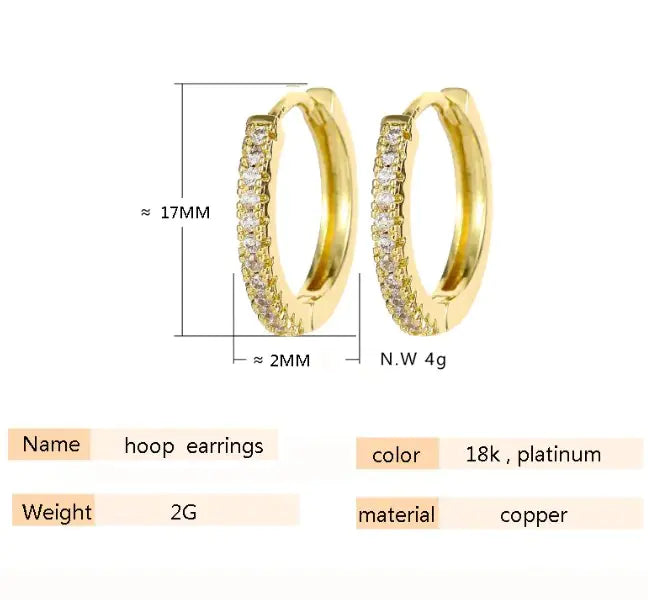 Round Ear Buckle Earrings